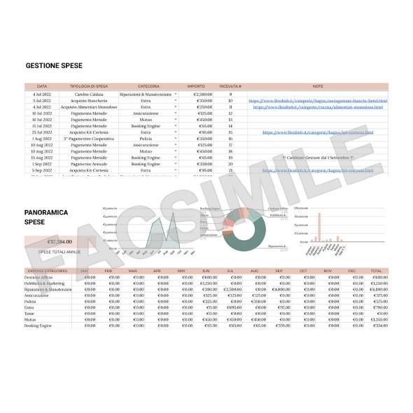 Modello Gestione Entrate e Spese - Fogli di Google Modificabile