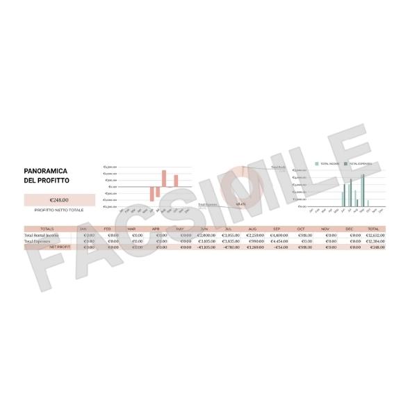 Modello Gestione Entrate e Spese - Fogli di Google Modificabile