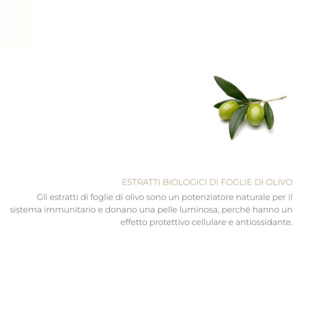 Kit Cortesia bagno Olive Care Special Edition