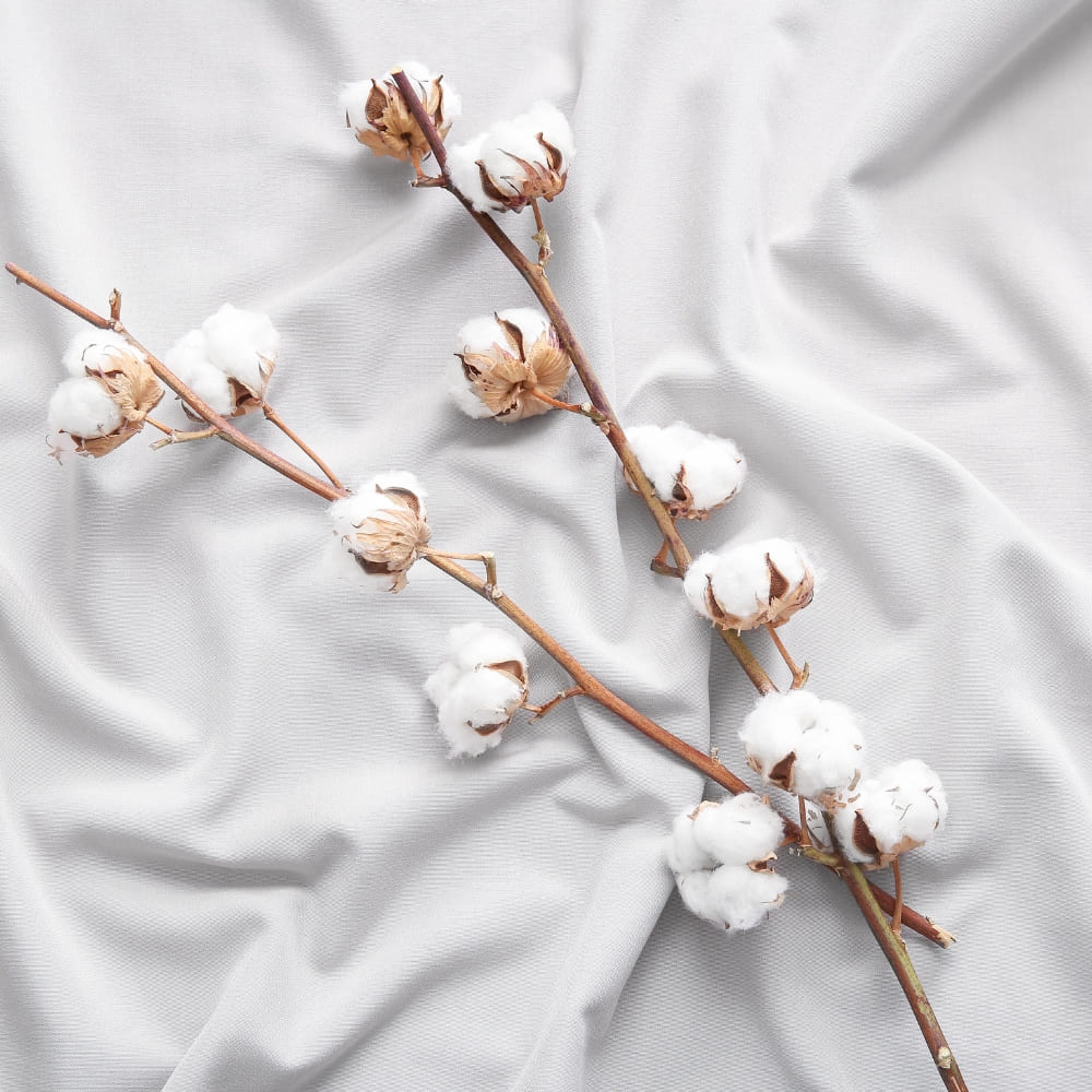 Profumo per tessuti e ambienti Natury Greencare 250 ml