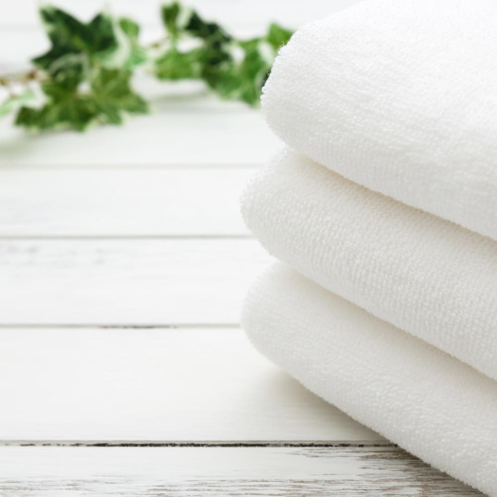 Asciugamano Viso e Mani Bianco Linea Royal Hotellerie