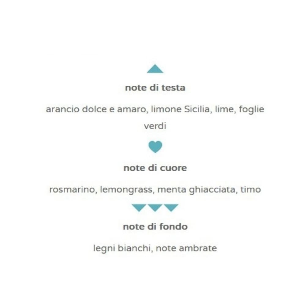 Shampoo No Brand 30 ml fragranza mediterranea 450 pezzi