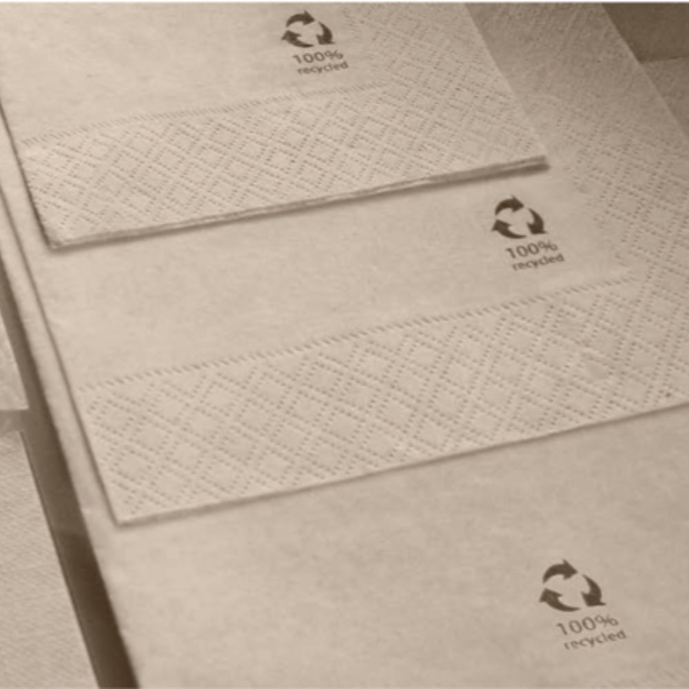 Tovagliolo 2 veli in ovatta riciclata eco-friendly 100 pezzi