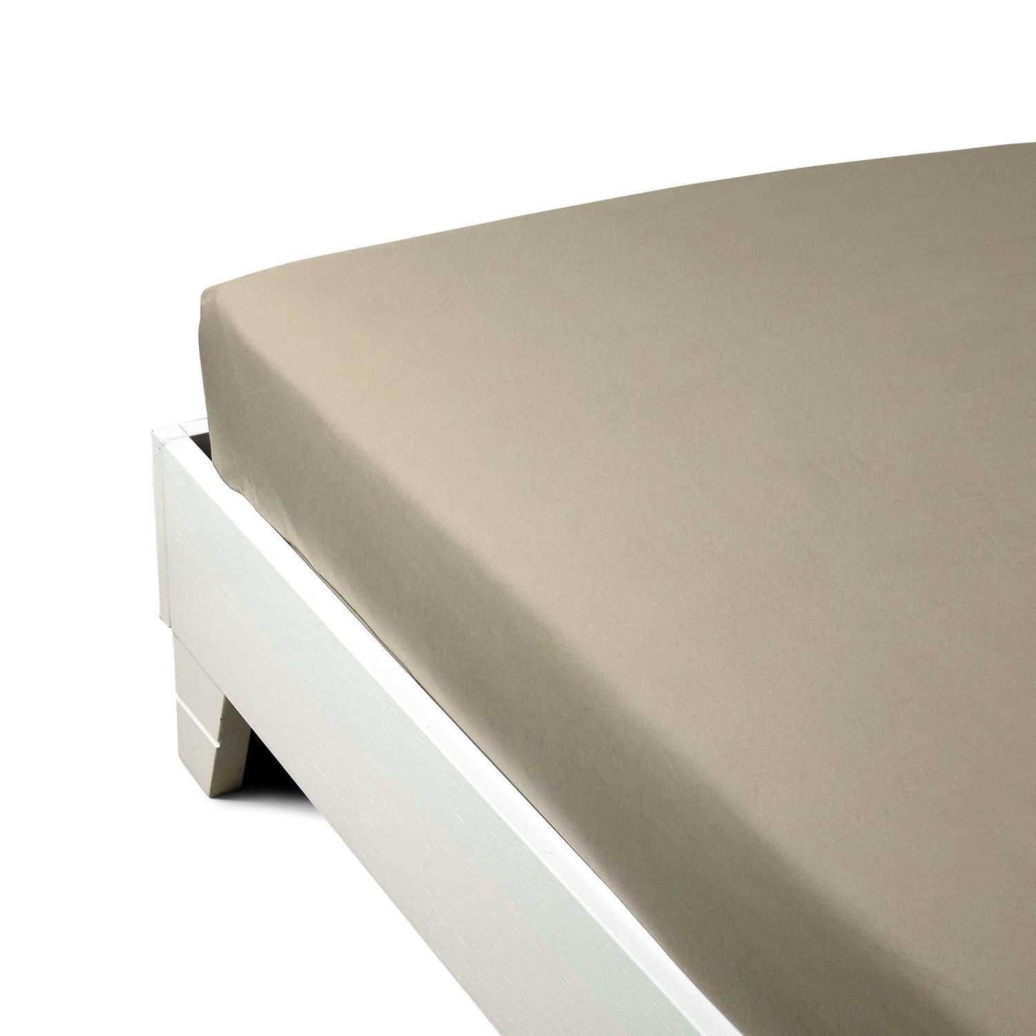 Caleffi Lenzuolo Inferiore Matrimoniale in Percalle Dreaming Vari Colori