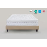 Magniflex Materasso Forte dei Marmi ignifugo con Molle Insacchettate + Memoform Anatomico Made in Italy (H 29 o 31 cm)