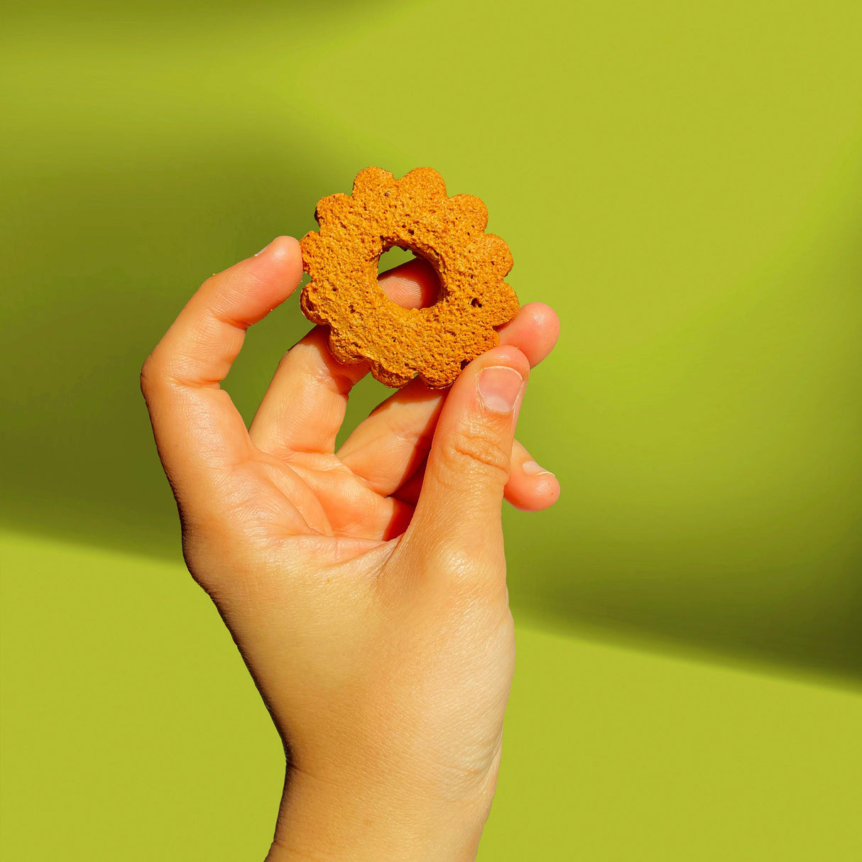 Biscotti Senza Glutine alle Nocciole e Farina di Ceci BIO 200g