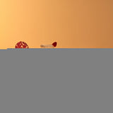 Big Top Set of 4 High Ball Glasses 430 cc
